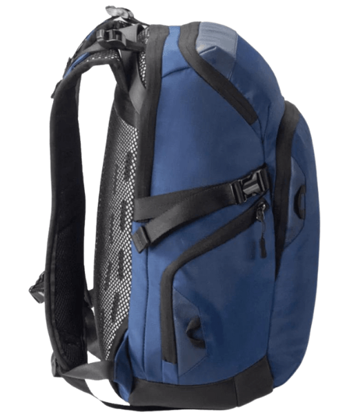 Carbonado Beetle - Dark Blue