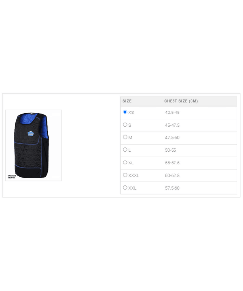 Bikeratti Glacier Motorcycle Cooling Vest for Riders / Bikers - Blue