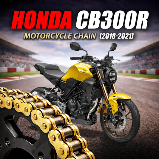 Crank1 Honda CB 300R (2018-2021) 520 Pitch ZVM-X 112L Chain - Gold