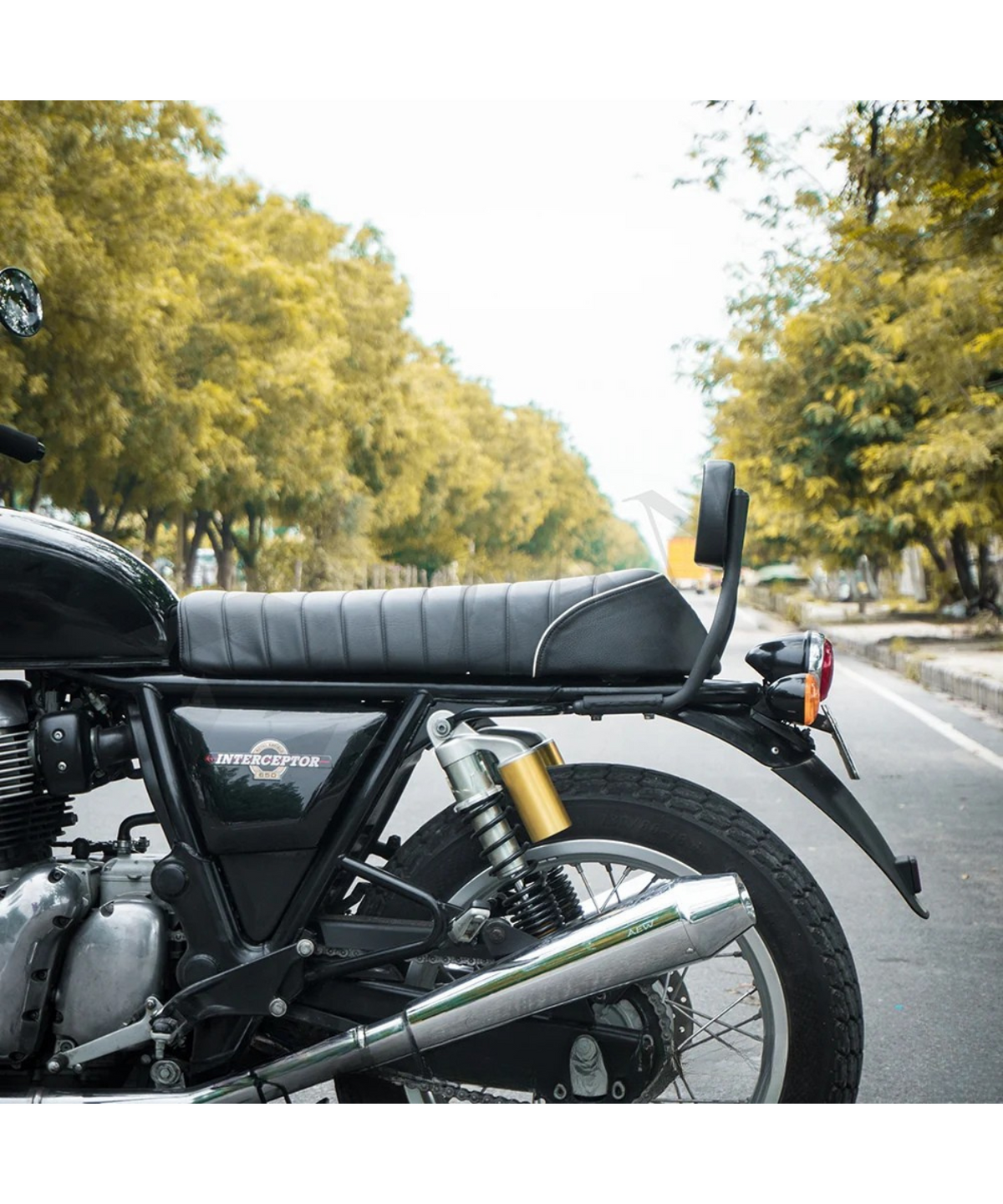 Zana Royal Enfield Interceptor 650 / Continental GT 650 Back Rest - ZI-6032 - Zana