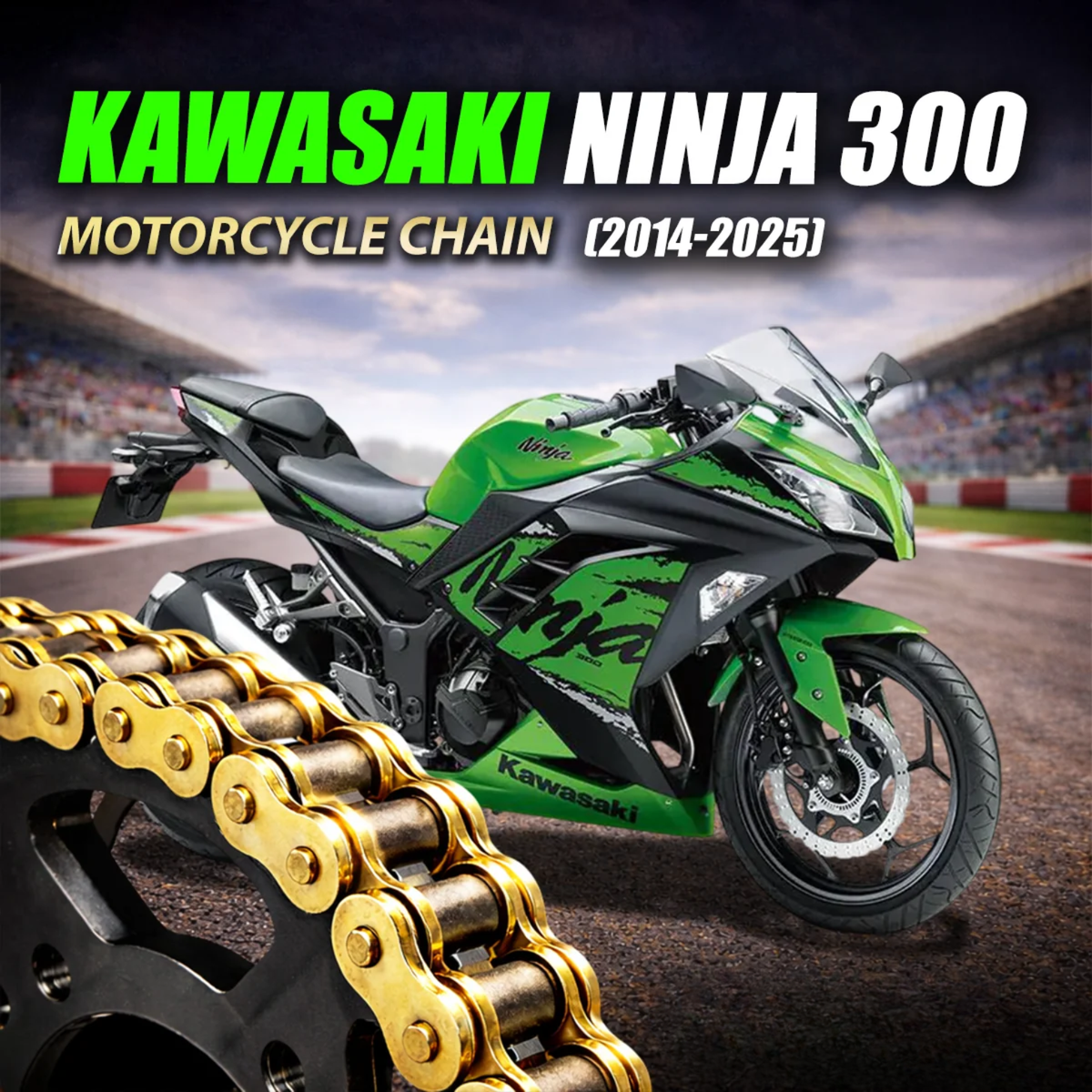 Crank1 Kawasaki Ninja 300 (2014-2025) 520 Pitch ZVM-X 106L Chain - Gold
