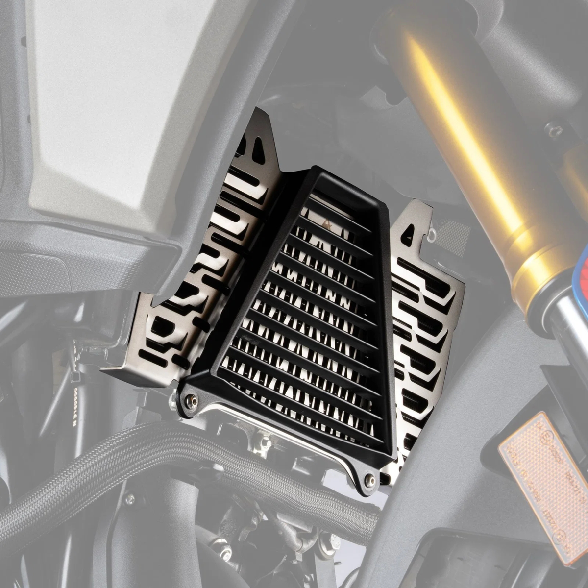 Auto Engina TVS Apache RTX 300 Radiator Guard - Silver - Auto Engina