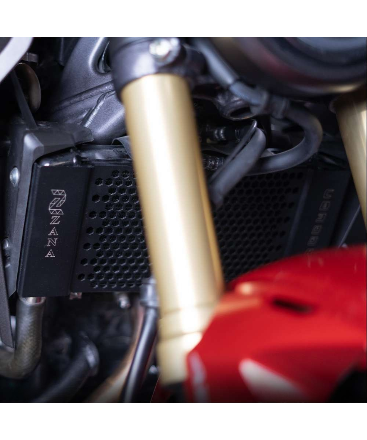 Zana Radiator Guard Honeycomb Black for Honda CB300R - ZI-8246