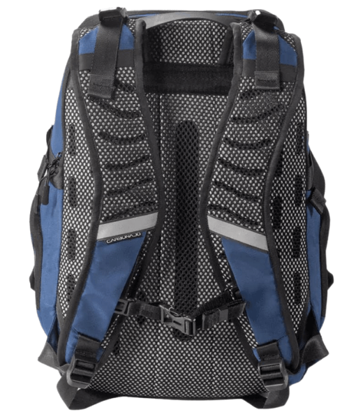 Carbonado Beetle - Dark Blue