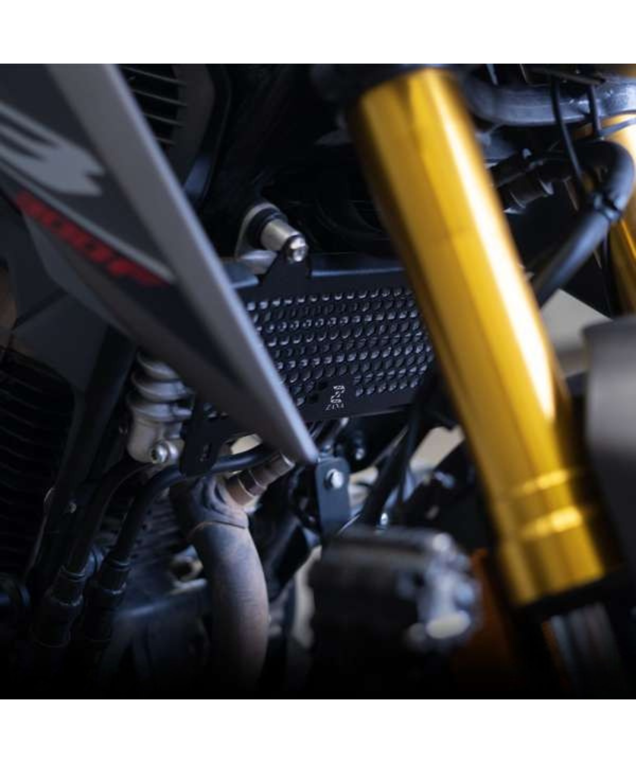 Zana Radiator Guard Honeycomb Black for Honda CB300F - ZI-8279