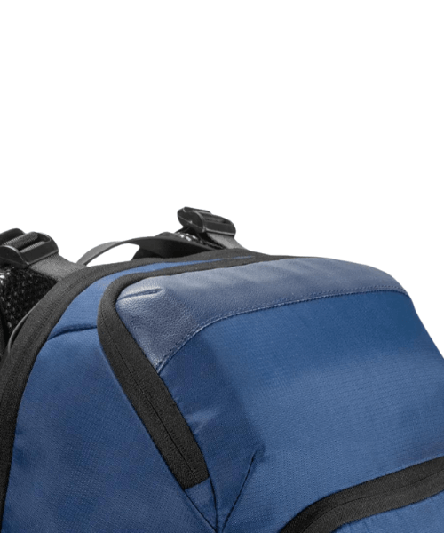 Carbonado Beetle - Dark Blue