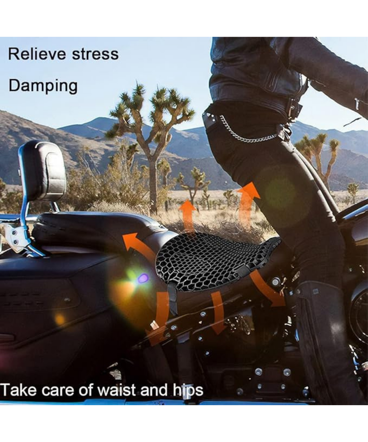 Moto Arch Breathable Honeycomb seat Cushion Beta - Bikester Global
