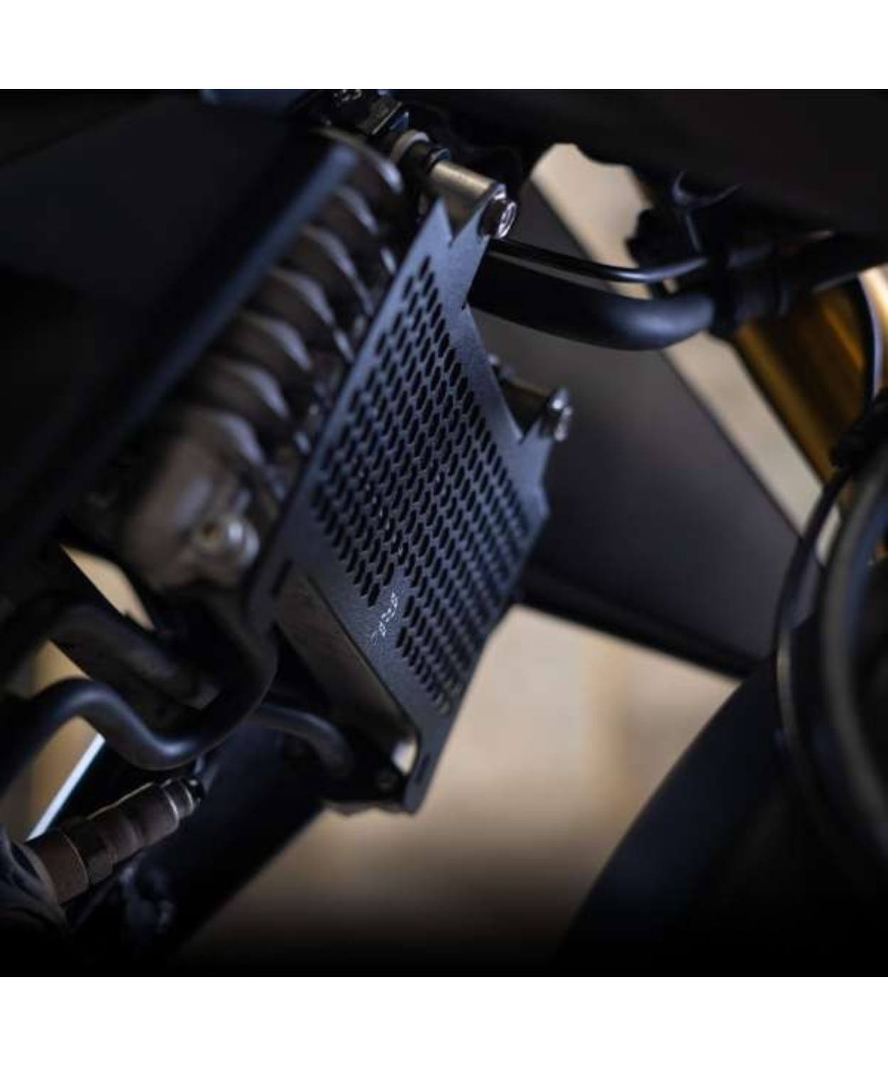 Zana Radiator Guard Honeycomb Black for Honda CB300F - ZI-8279