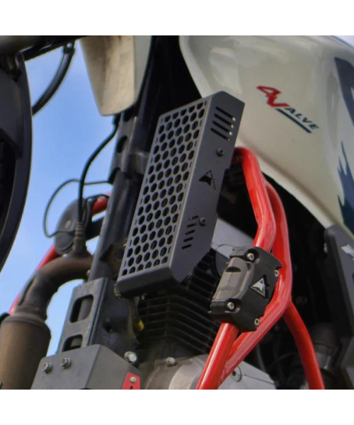 Auto Engina Hero Xpulse 200 Radiator Guard - Black