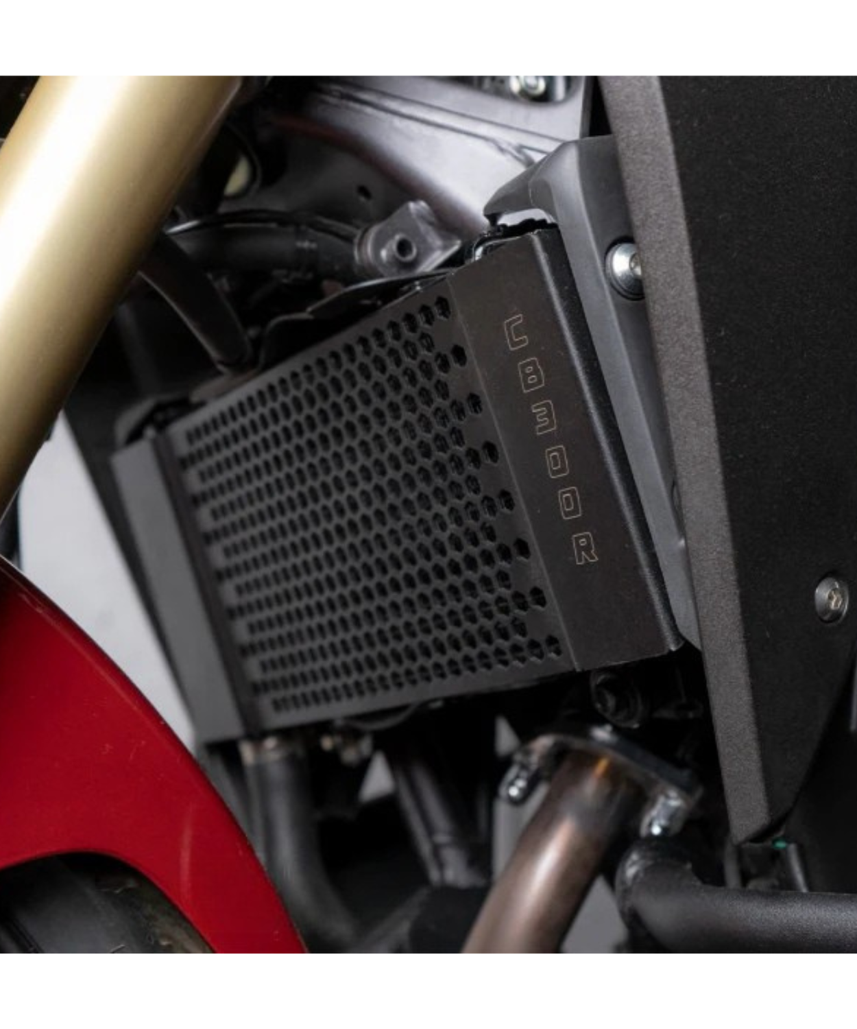 Zana Radiator Guard Honeycomb Black for Honda CB300R - ZI-8246