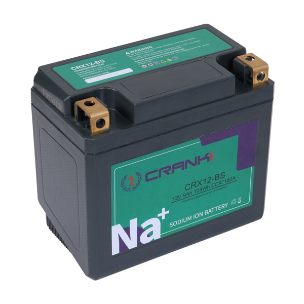 Crank1 CRX12-BS battery terminals